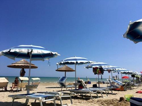 Nuovo HOTEL SETTIBI 20m dalla spiaggia Giulianova Esterno foto